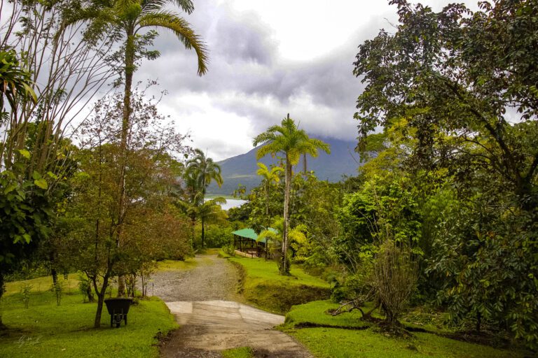 Cacao Tour