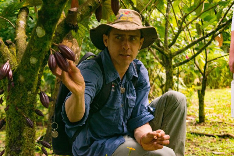 Essence Arenal Cacao Tour