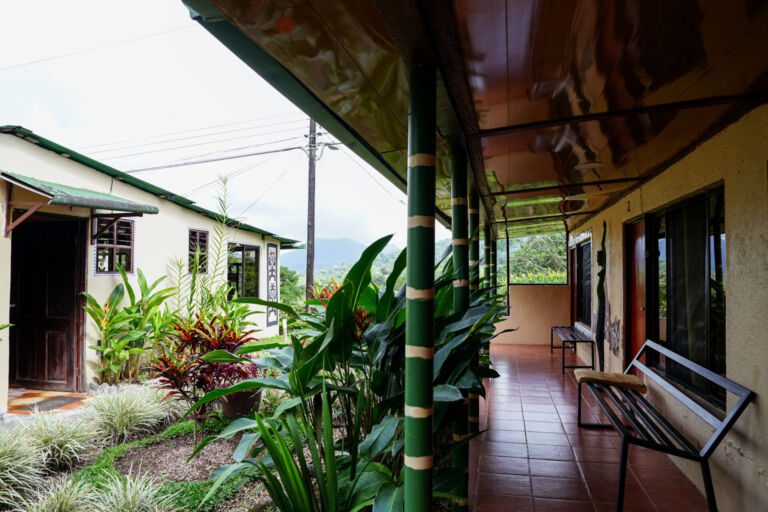 Essence Arenal