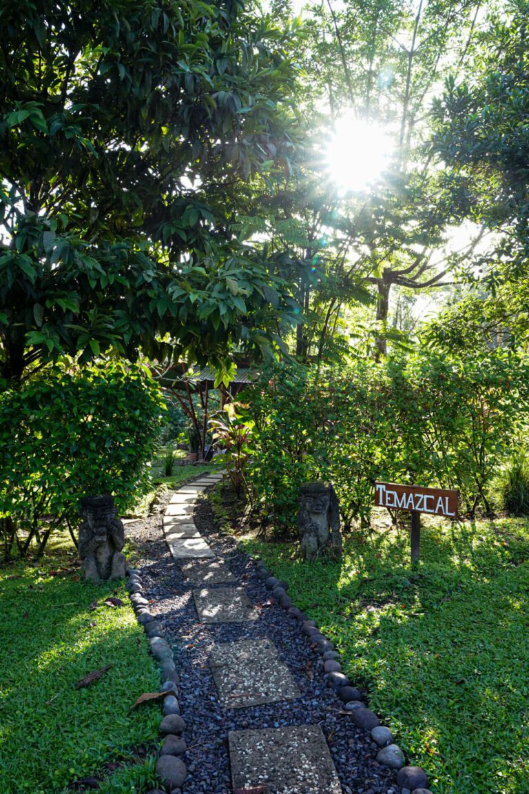 Essence Arenal