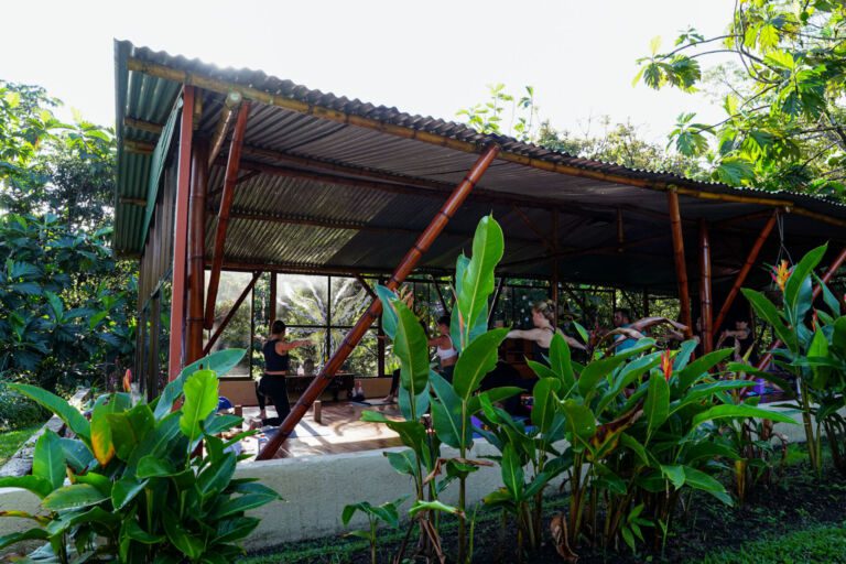 Essence Arenal Yoga