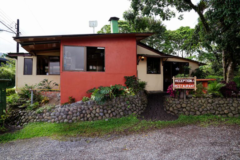 Essence Arenal