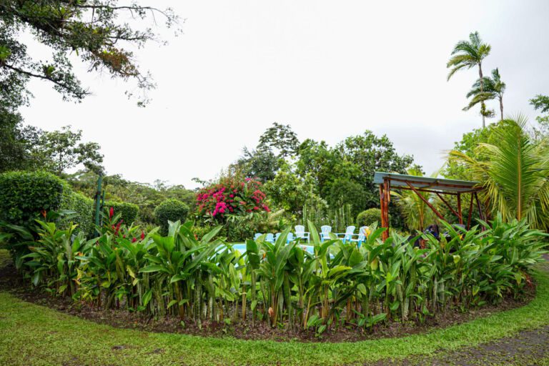 Essence Arenal