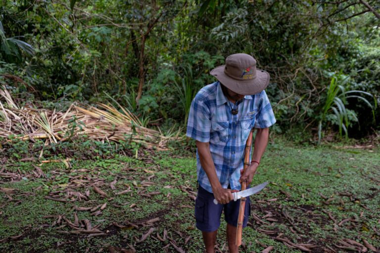 Essence Arenal Cacao Tour