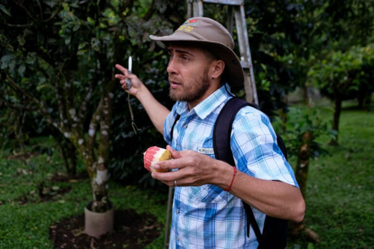 Essence Arenal Cacao Tour