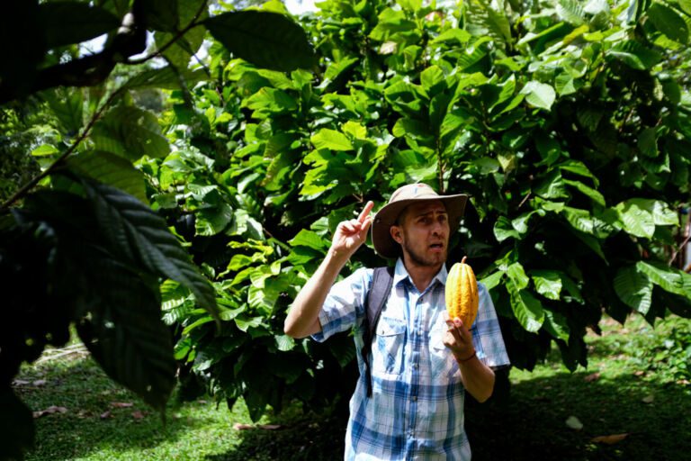 Essence Arenal Cacao Tour