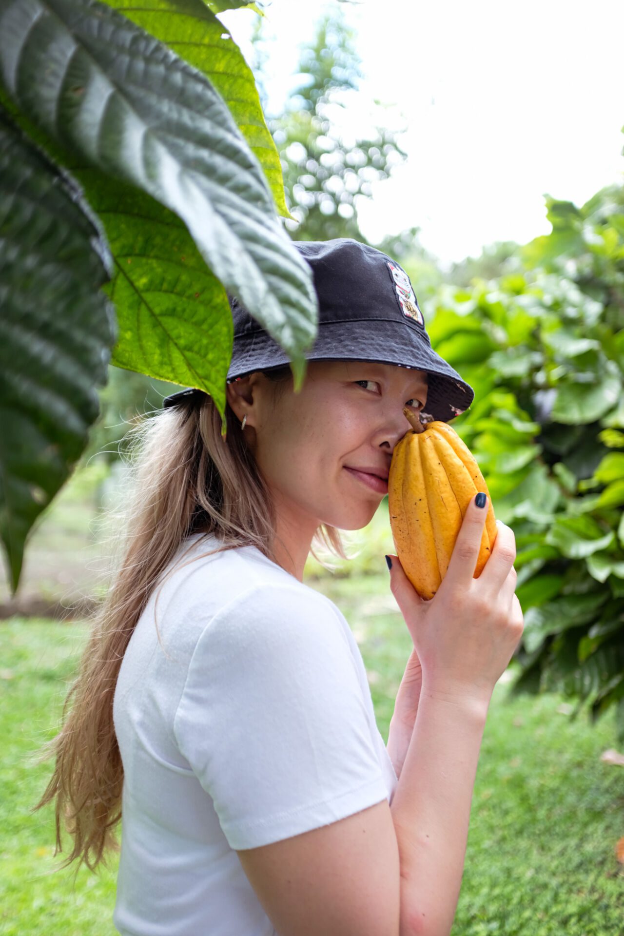 Essence Arenal Cacao Tour