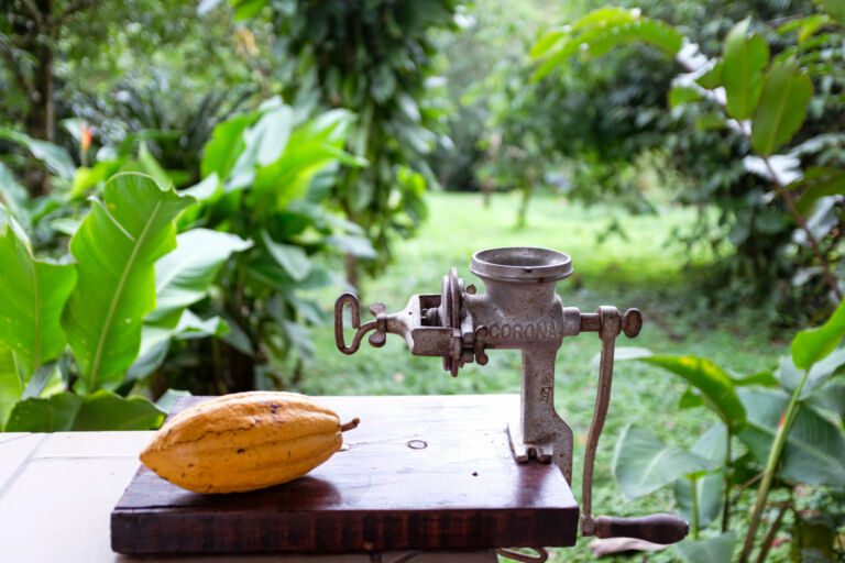 Essence Arenal Cacao Tour
