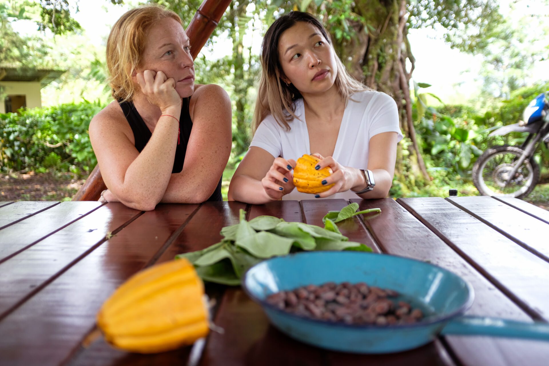 Essence Arenal Cacao Tour