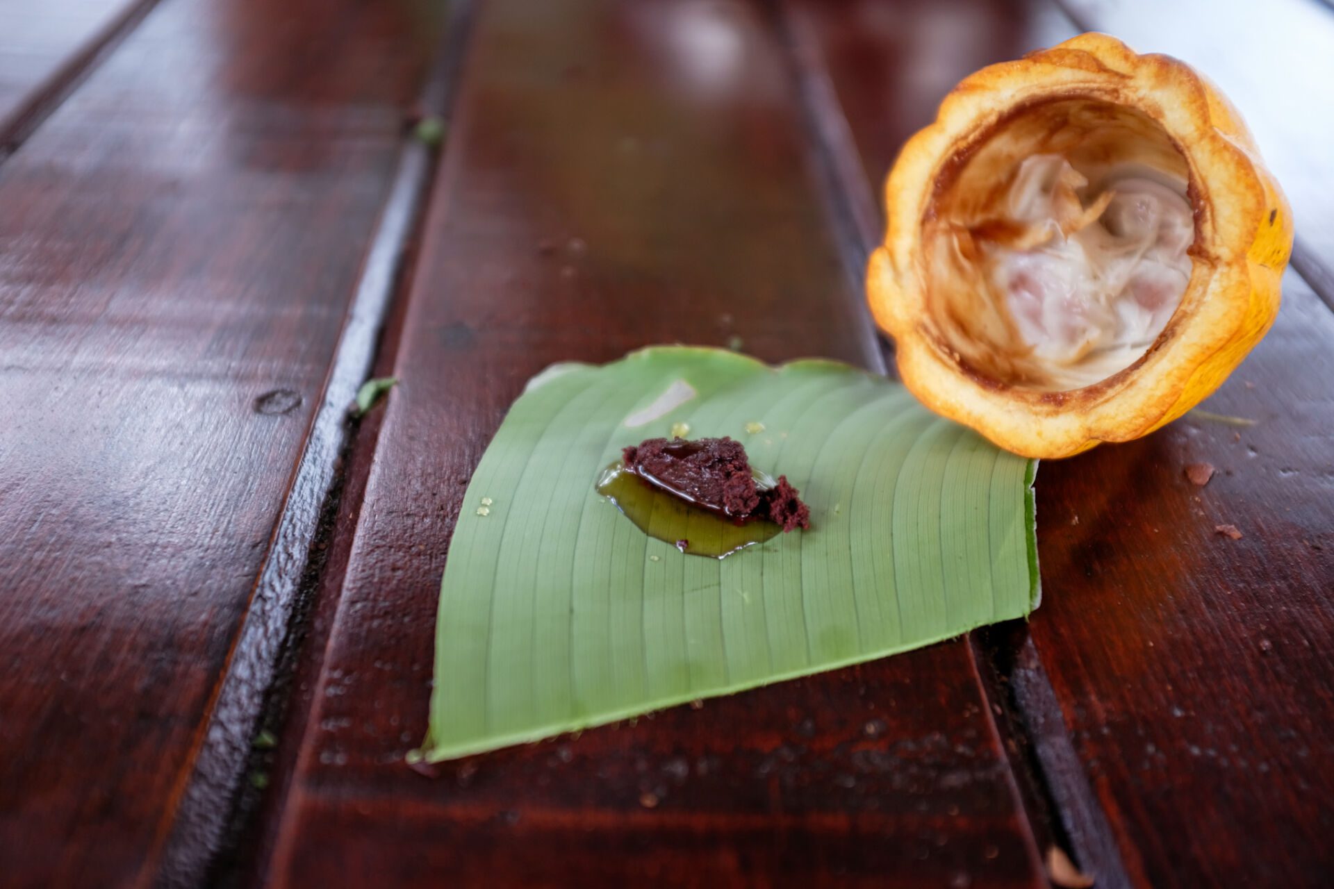 Essence Arenal Cacao Tour