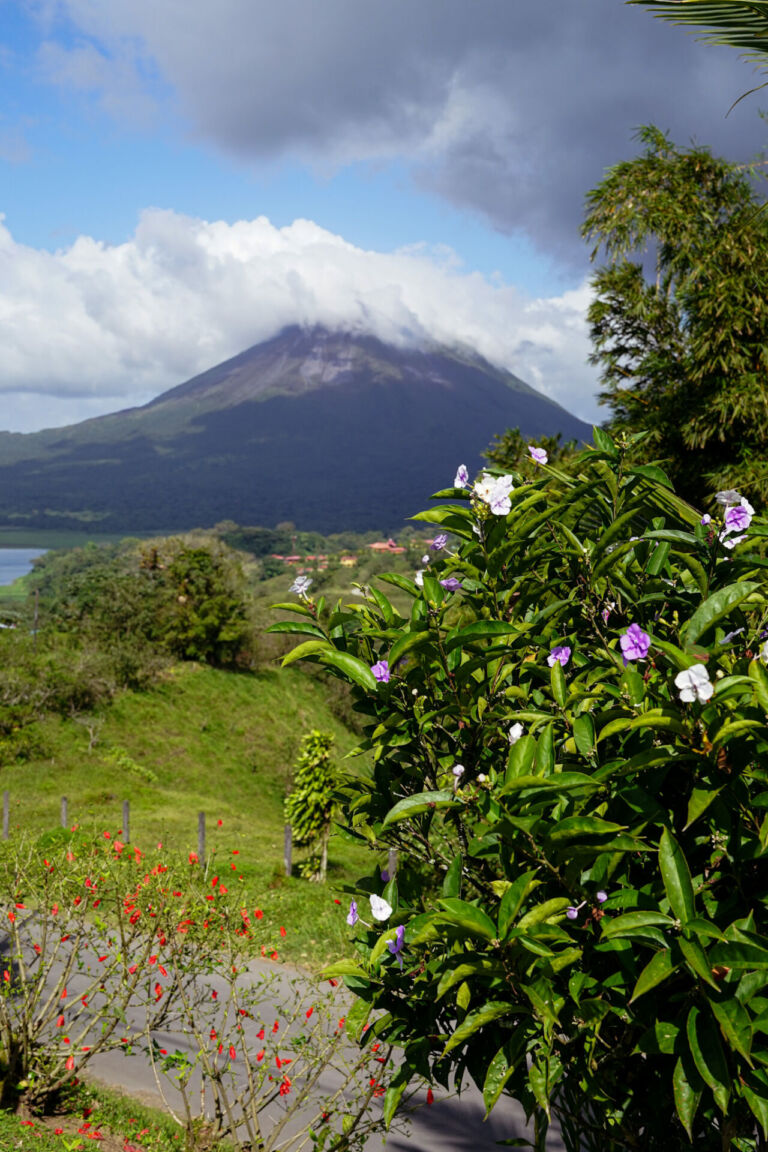 Essence Arenal Nature & Relax