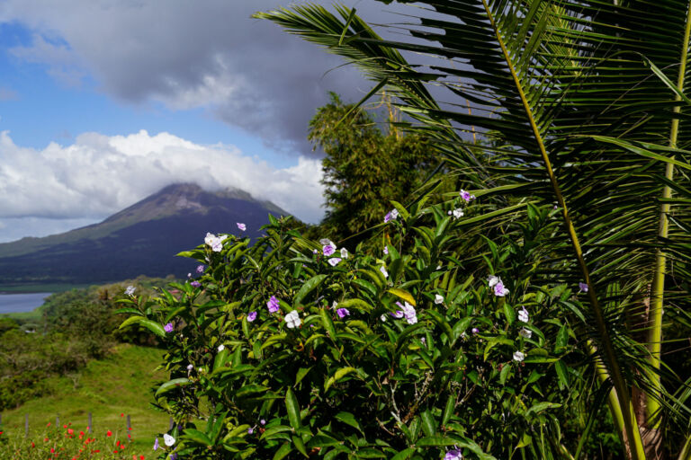 Essence Arenal Nature & Relax