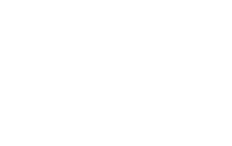 logo Essence Arenal