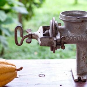 Permaculture Farm Tour and Cacao Workshop
