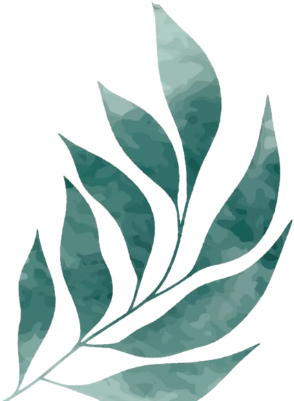 hoja 3.fw e1711636602241