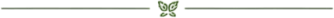 divizor