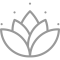 lotus-1png #image_title